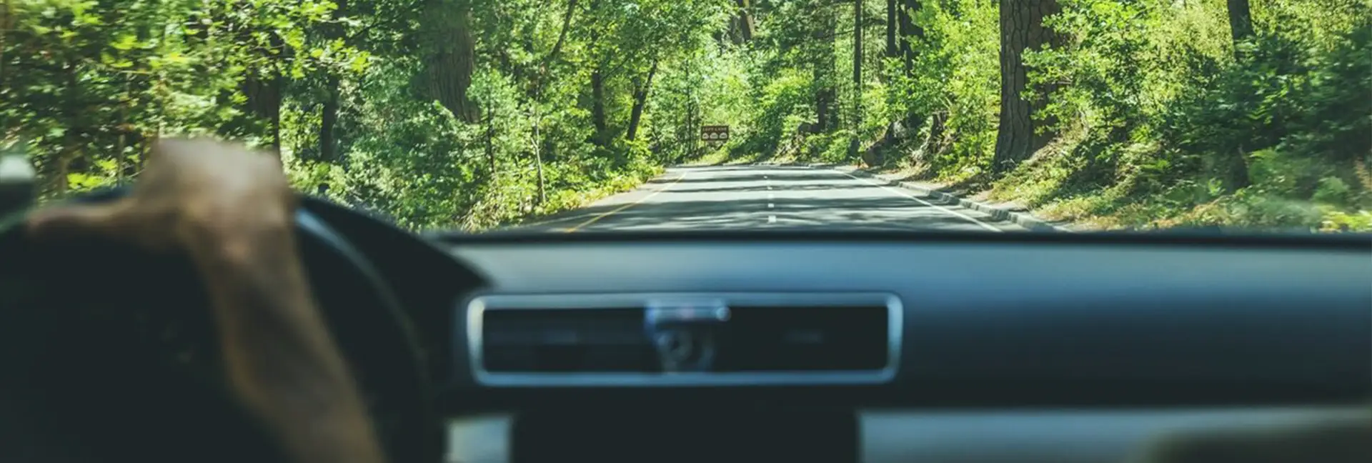 Jährlich bis zu 355 Euro* verdienen mit der THG Quote deines E Autos!