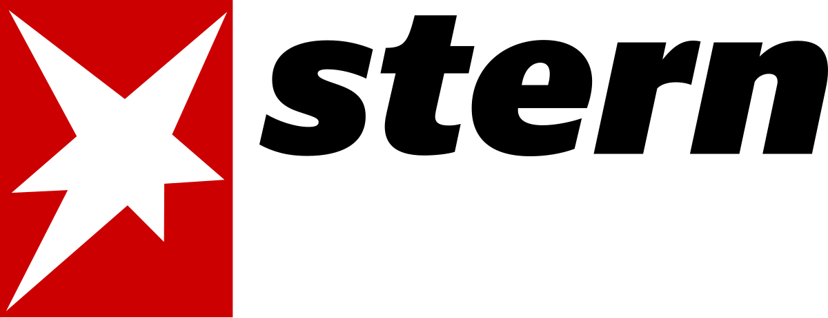 Stern: Mit dem eigenen Elektroauto Geld verdienen - Wie das ab 2022 geht