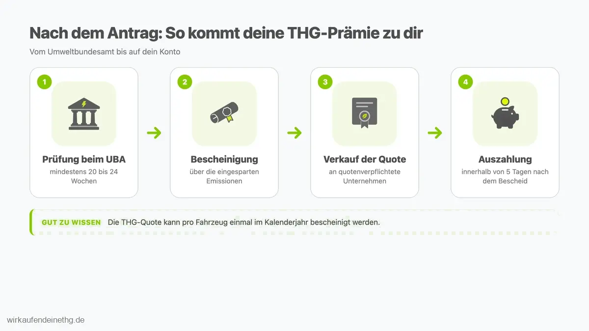 Nach dem Antrag auf die THG-Quote: Prüfung beim Umweltbundesamt, Bescheinigung, Verkauf der Quote und Auszahlung der THG-Prämie