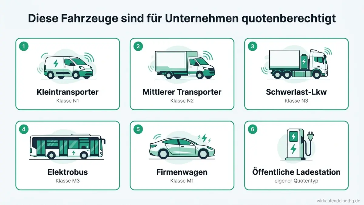 Sechs Fahrzeugkategorien sind für Unternehmen bei der THG-Quote berechtigt: von leichten Transportern bis zum Elektrobus und der öffentlichen Ladestation.