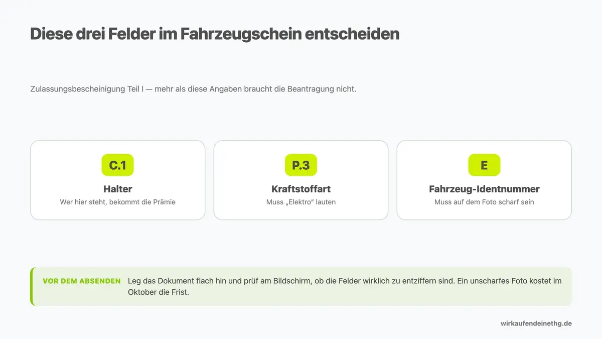 Fahrzeugschein für die THG-Prämie: Feld C.1 Halter, Feld P.3 Kraftstoffart Elektro und die Fahrzeug-Identnummer in der Zulassungsbescheinigung Teil I