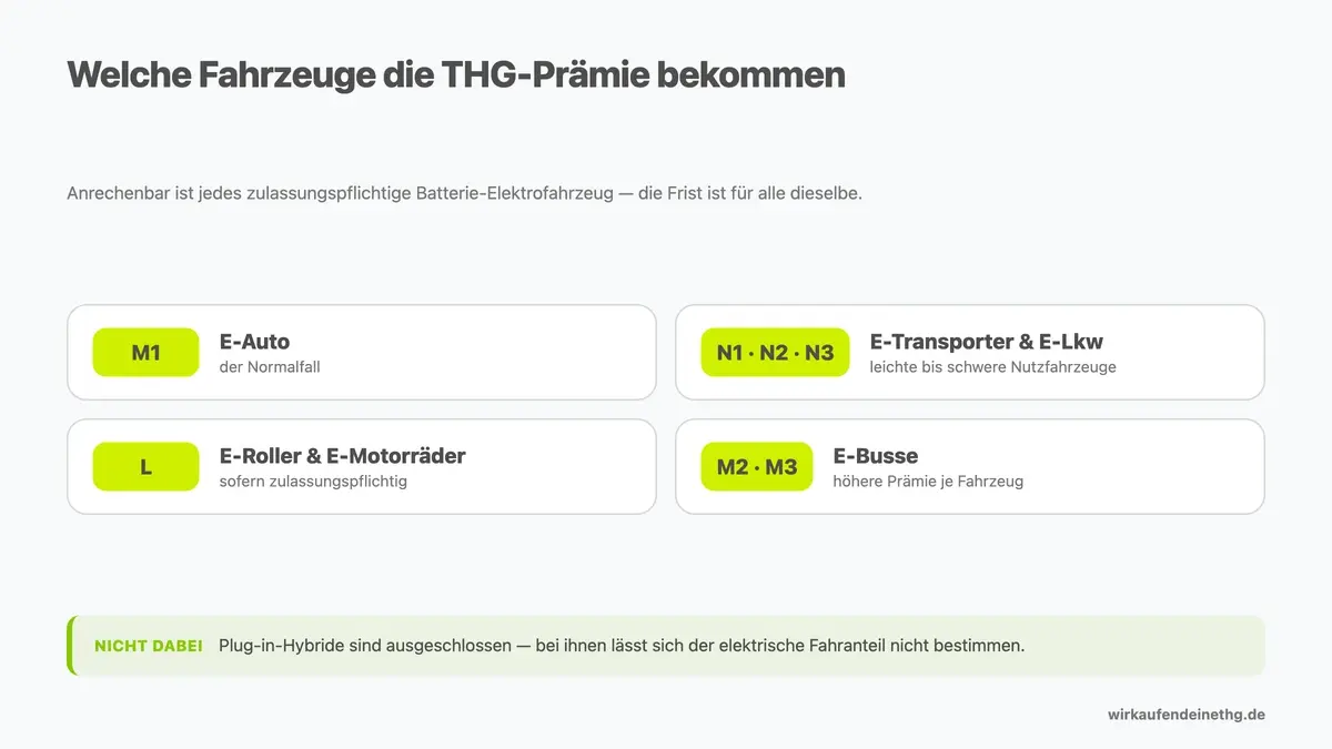 Fahrzeugklassen mit Anspruch auf die THG-Quote 2026: M1 für E-Autos, N1 bis N3 für E-Transporter und E-Lkw, L für E-Roller, M2 und M3 für E-Busse